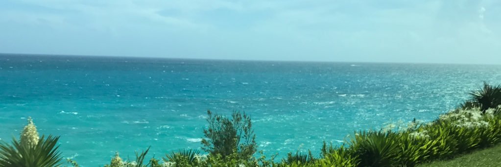 laurencapp21's profile banner image
