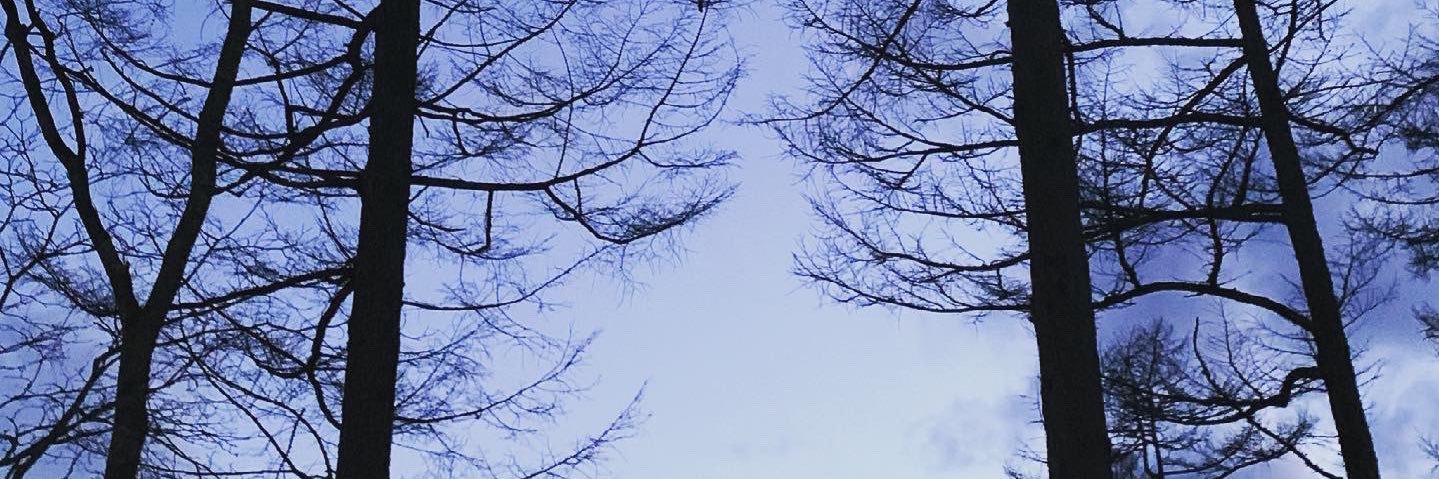 nao9228's profile banner image