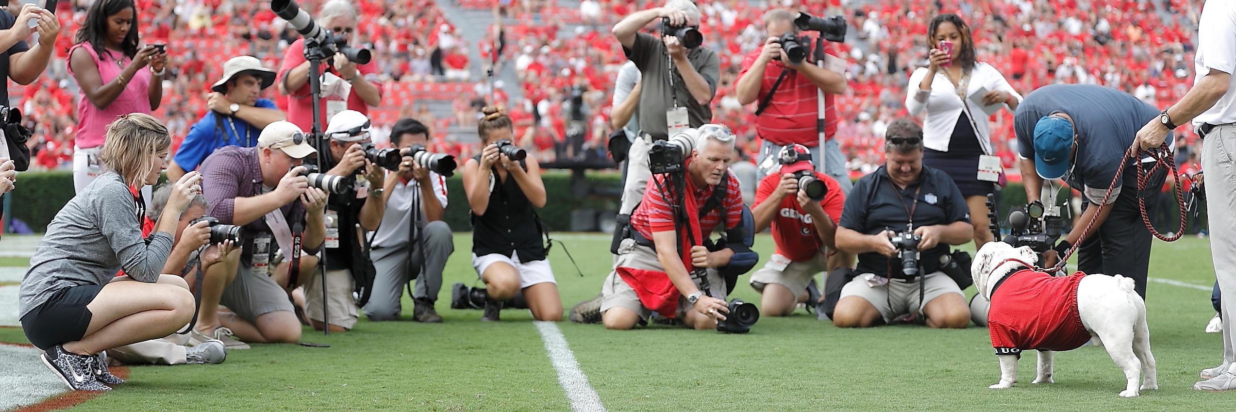 WardPhoto1's profile banner image