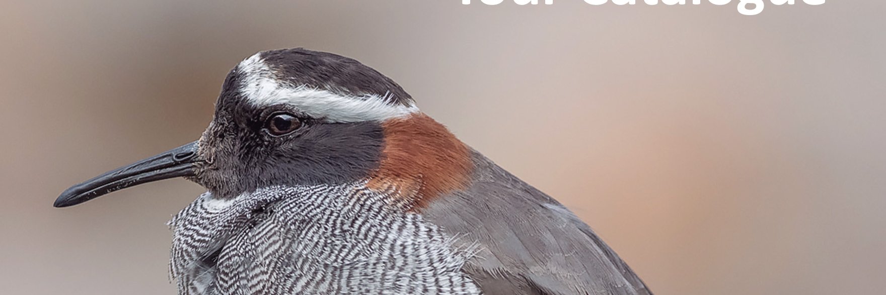 FarSouthExp's profile banner image