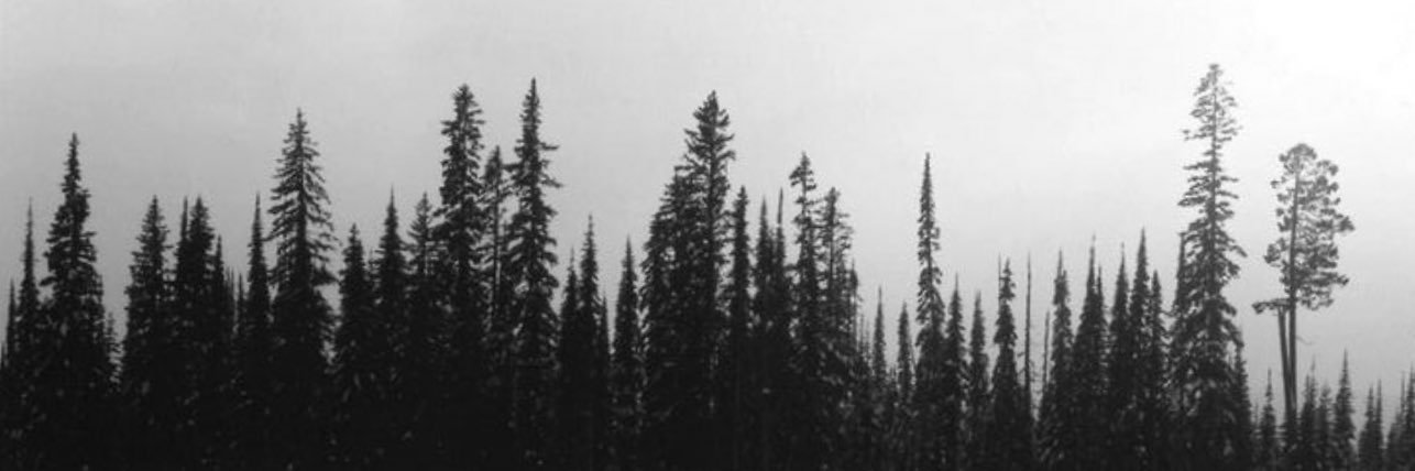Heatherrose_'s profile banner image
