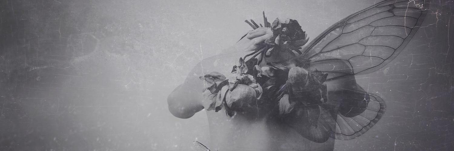 claudiabarral's profile banner image