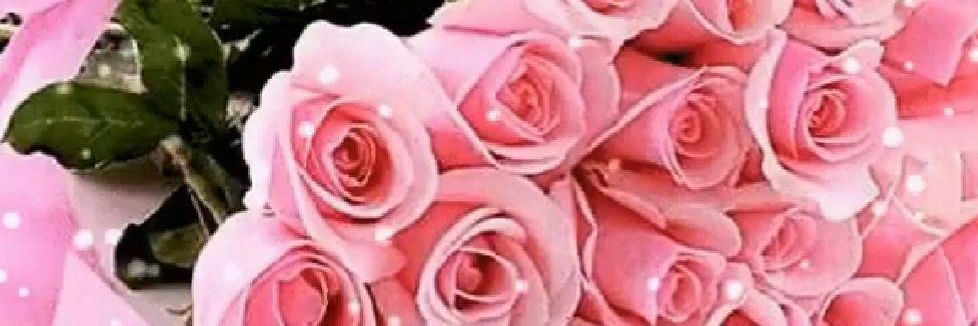 hideko_sionn's profile banner image
