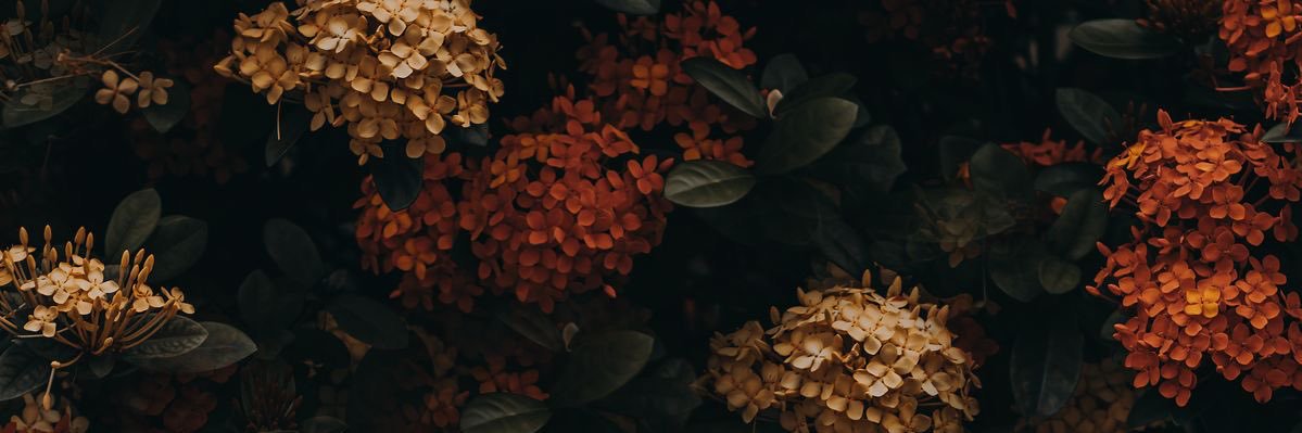 peyd04's profile banner image