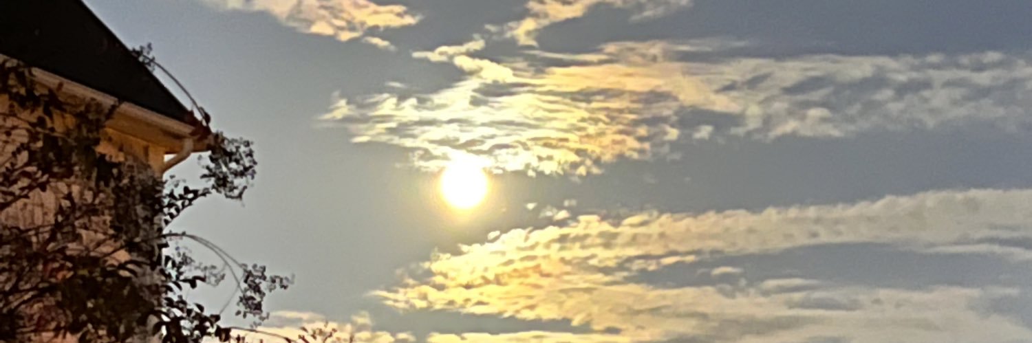 blanch104's profile banner image
