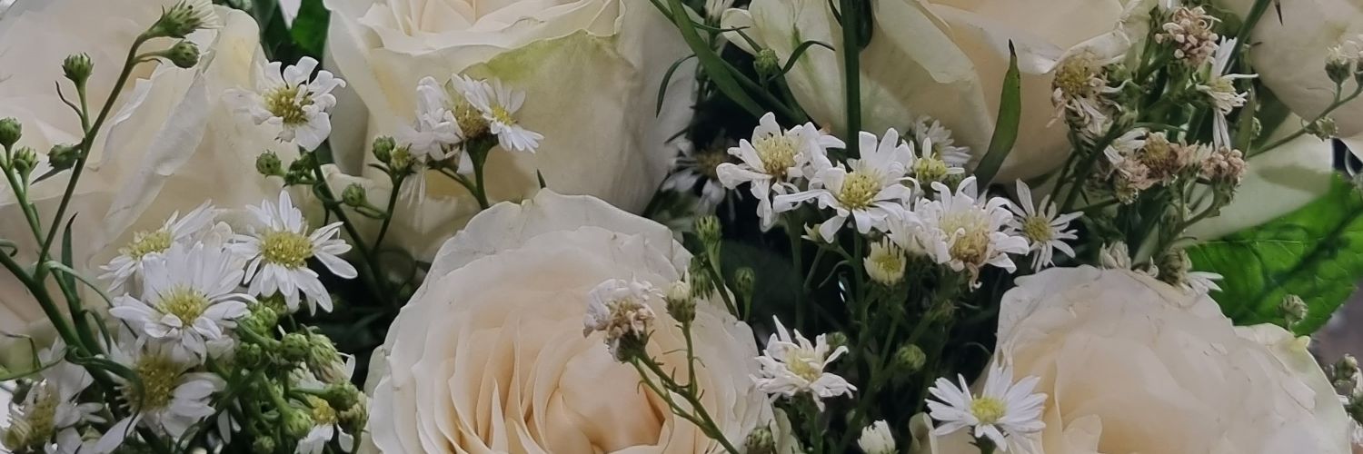Adevia_A's profile banner image