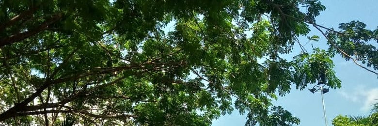 annayulidc's profile banner image