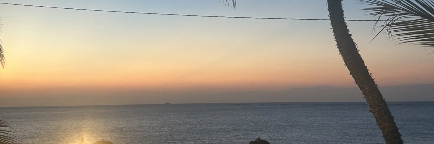 Alis_ssa's profile banner image