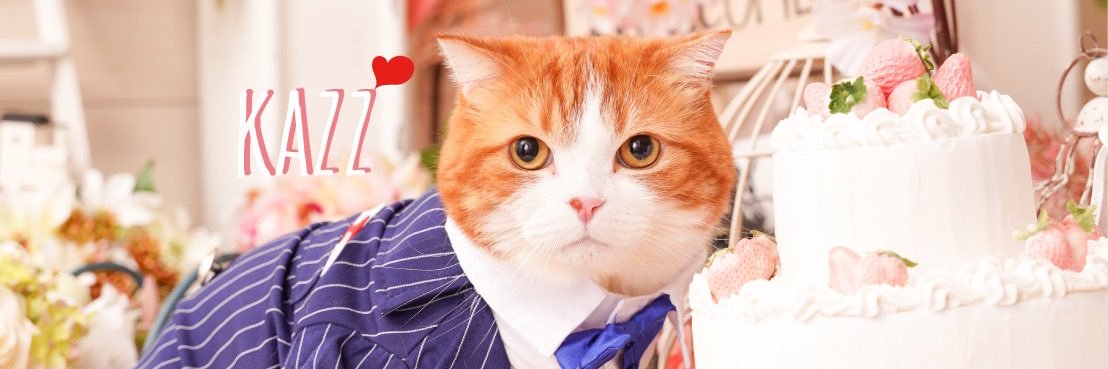 かずくん♡ຼ〜꒰⑅ᴛʜᴇかずғᴇᴇ⑅꒱〜 banner