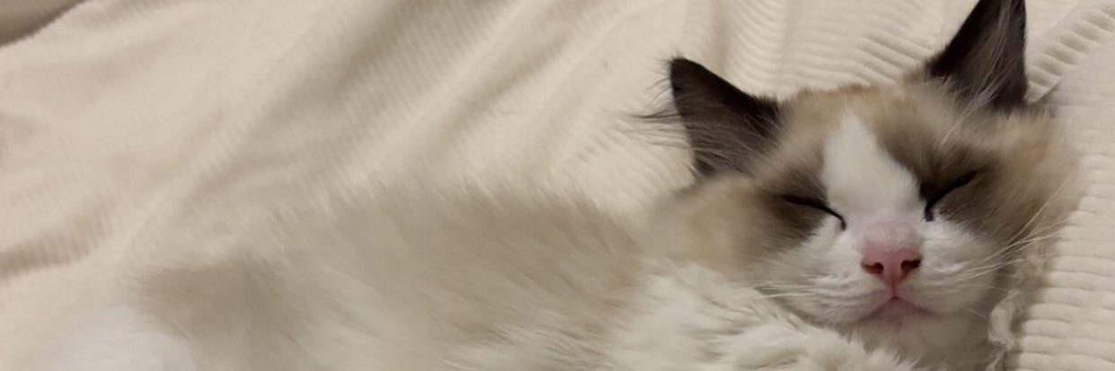 BensIey's profile banner image