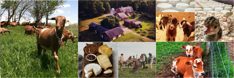 SproutCreekFarm's profile banner image