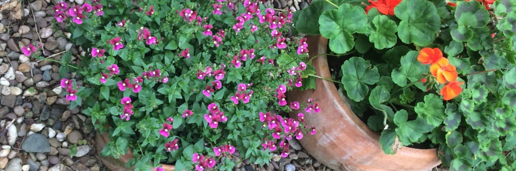 MariaS_Williams's profile banner image