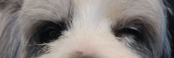 johnazariah Profile Banner