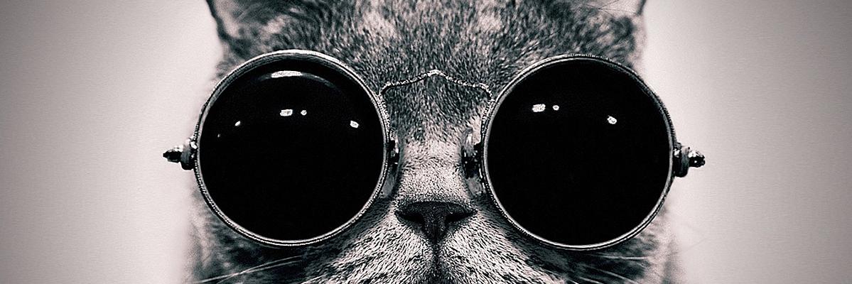 ayyappancs's profile banner image