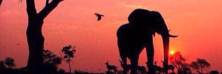 MakeItRainey1's profile banner image