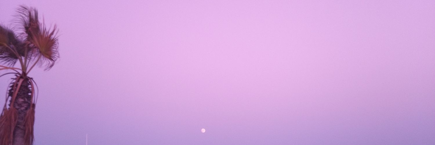 AuksaNet's profile banner image