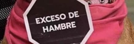 Steak Chalupa banner