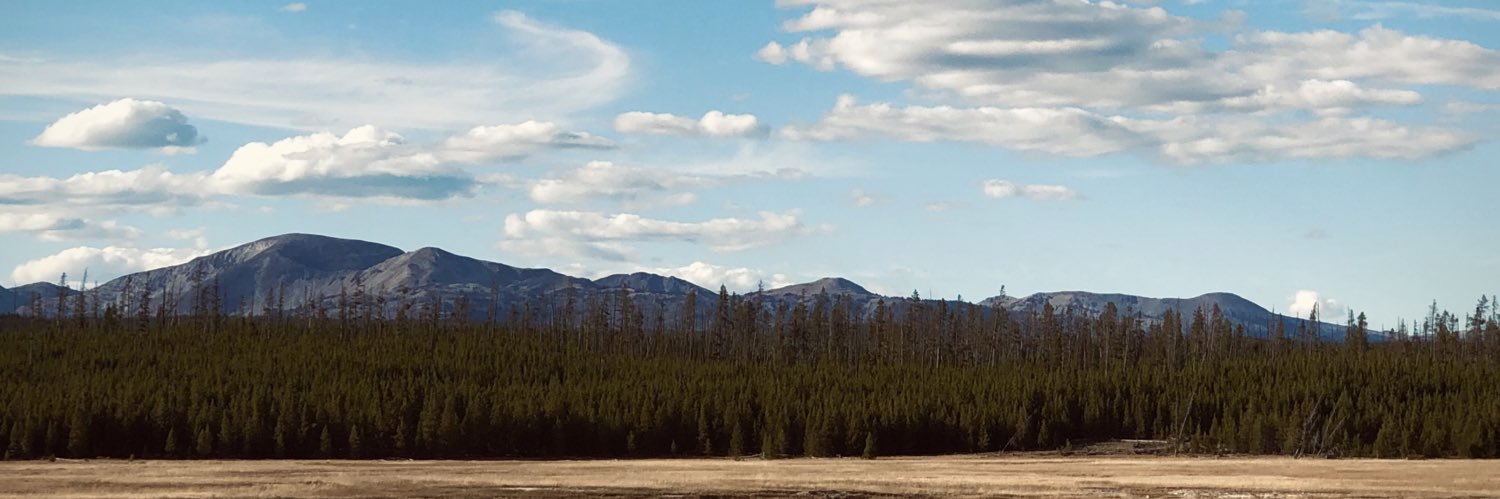 TDhone24's profile banner image
