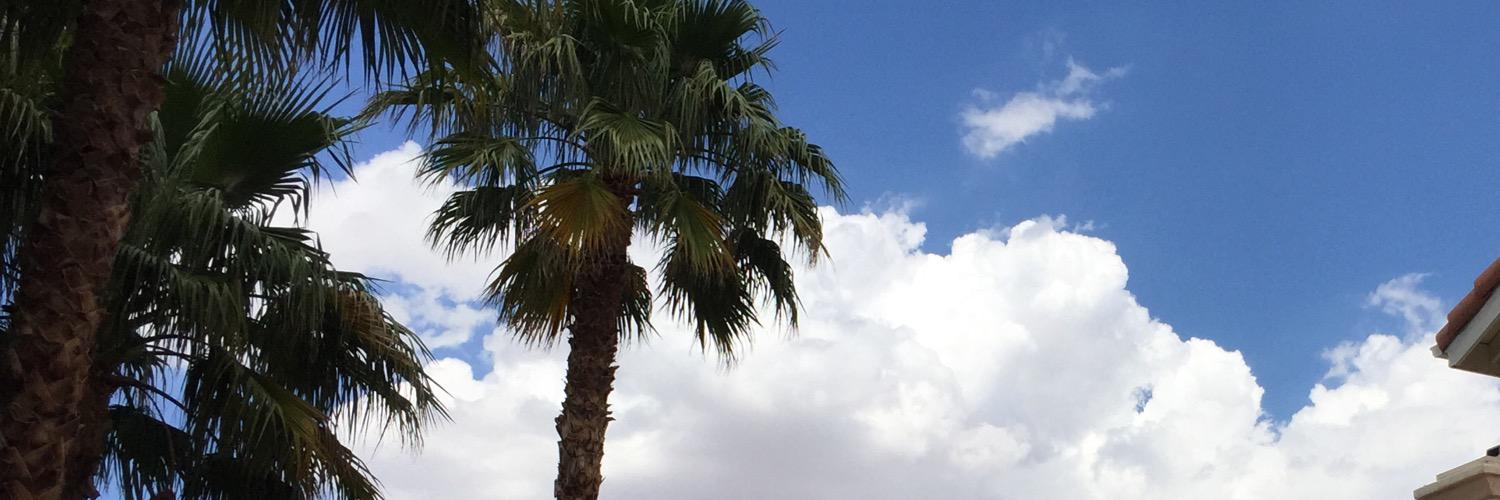 TheNextMJ_'s profile banner image