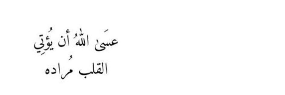 AseelAalsaeed's profile banner image