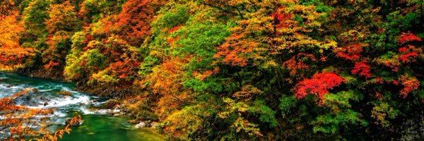 miriririo's profile banner image