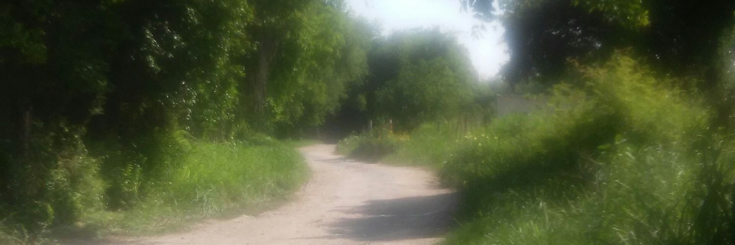 cocovzz's profile banner image