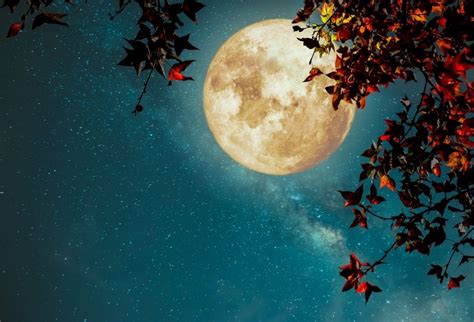 ImBebo_727's profile banner image