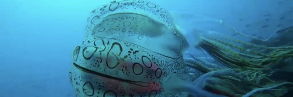 100Dianne Profile Banner