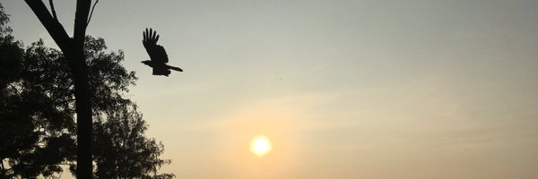 ShreyKeny Profile Banner