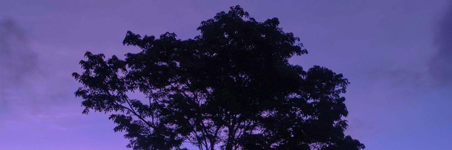 NandaGuwn's profile banner image