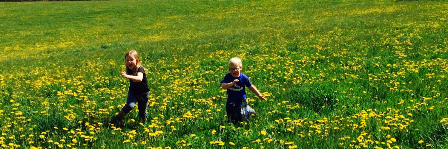 Claire Kendall banner