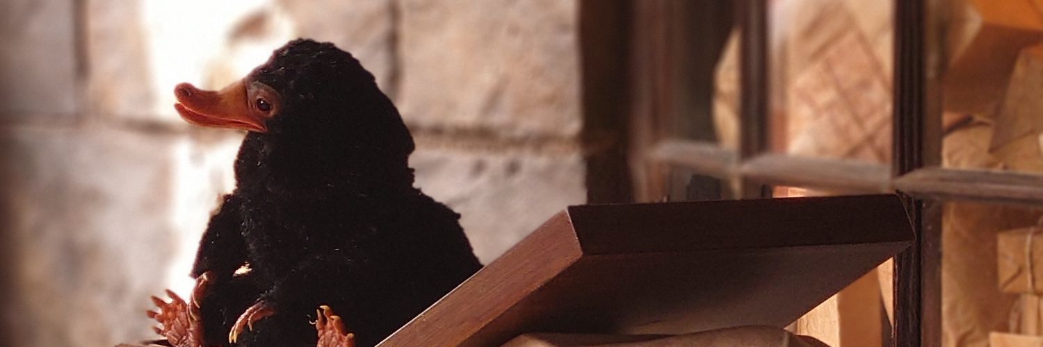 kuo_267's profile banner image