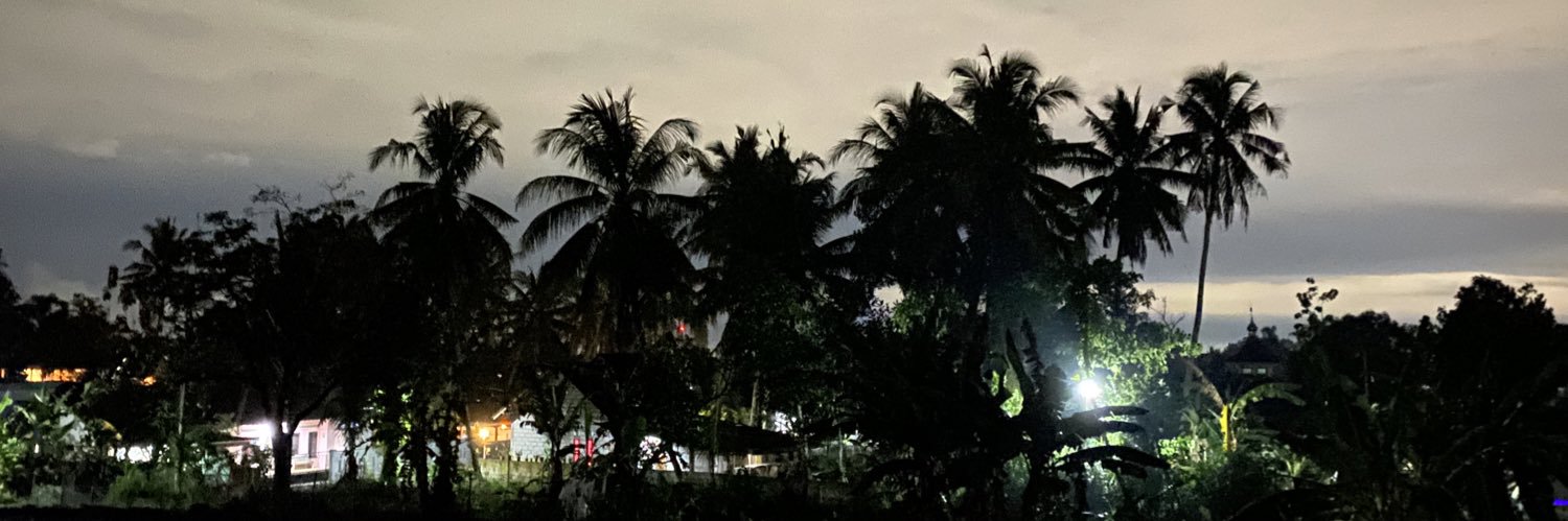 rositarahmaa's profile banner image