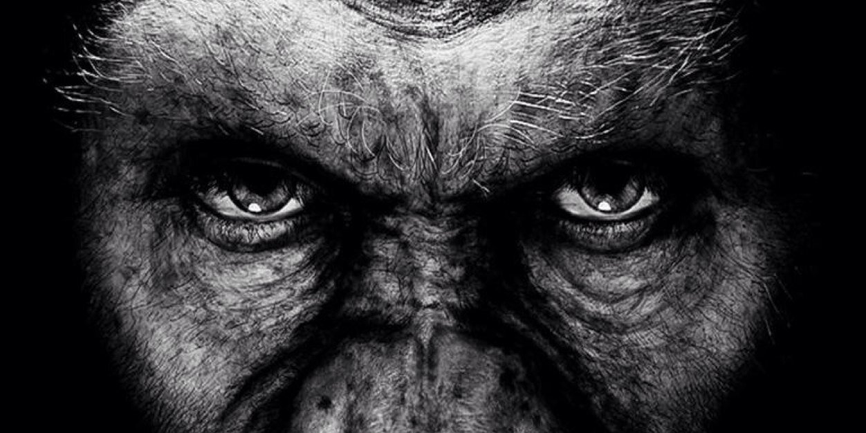TimothyFrink's profile banner image
