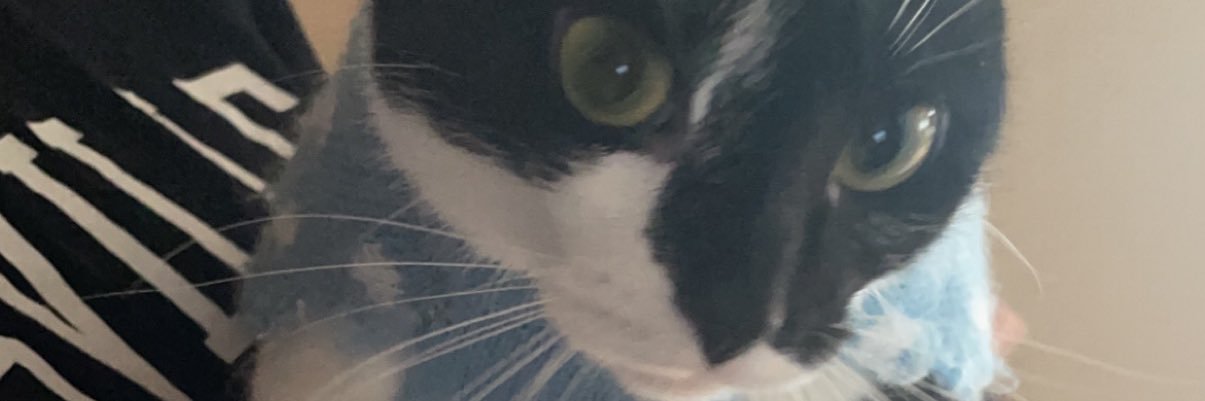 briabre33's profile banner image