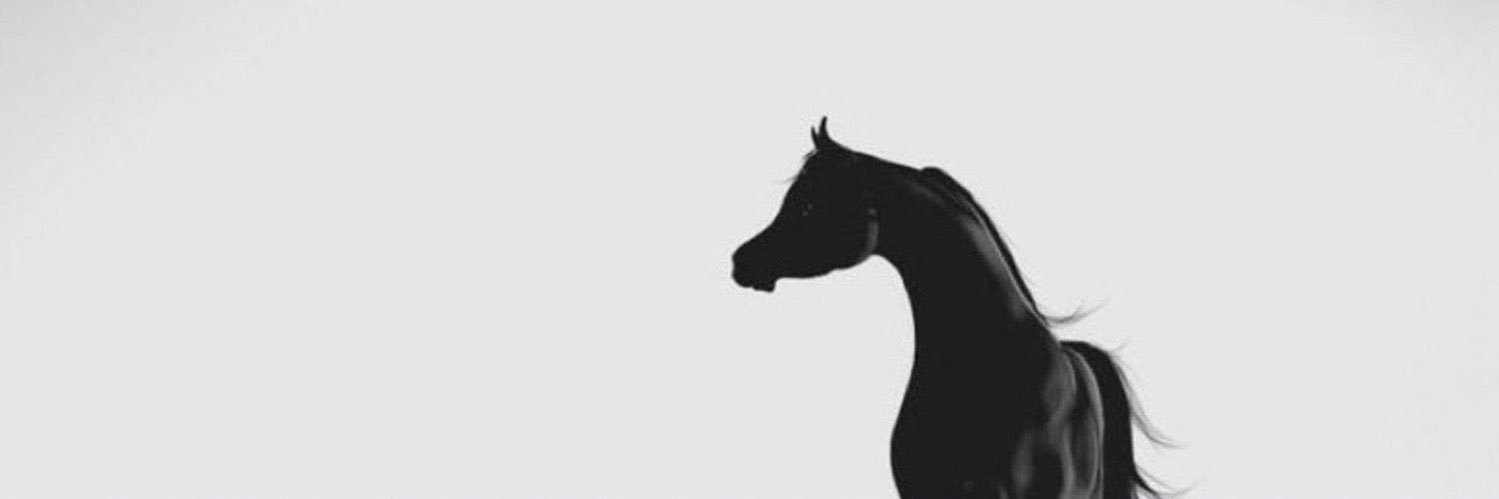 mloka_8's profile banner image
