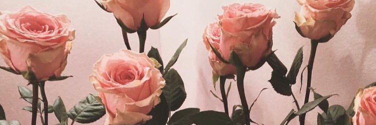 xvmah's profile banner image