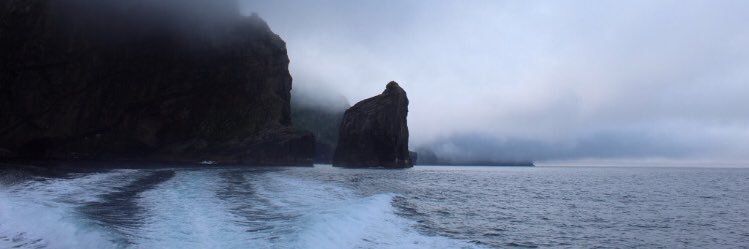 Fiona Smedley banner