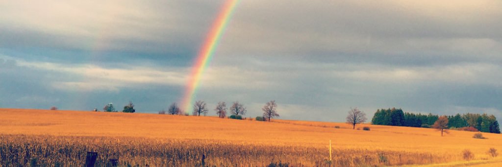 LornaERourke's profile banner image