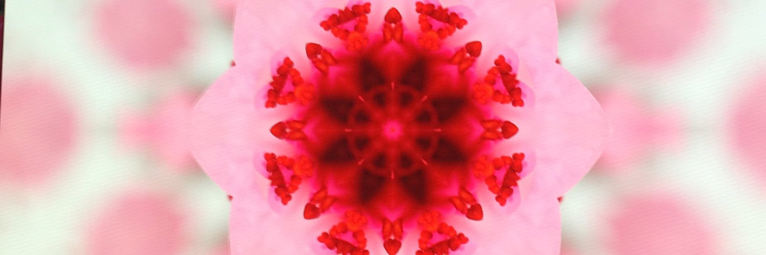 Jutta Rahenbrock banner