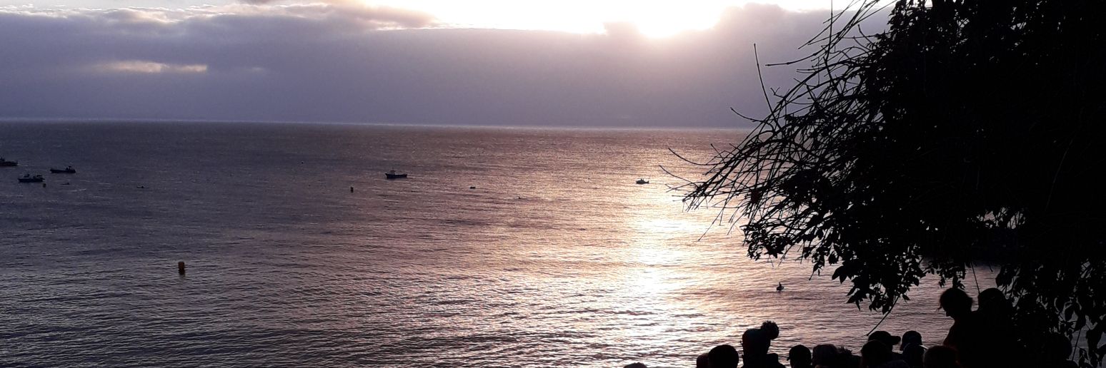 LimelightSue's profile banner image