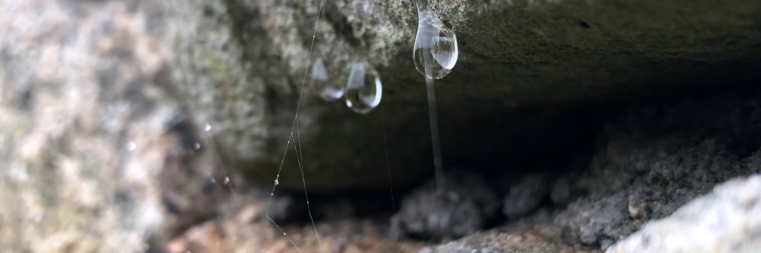 Yohan Laforge banner