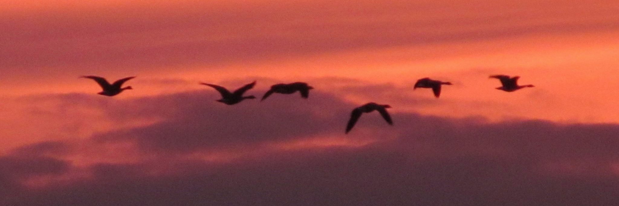 CrayzeeKD's profile banner image