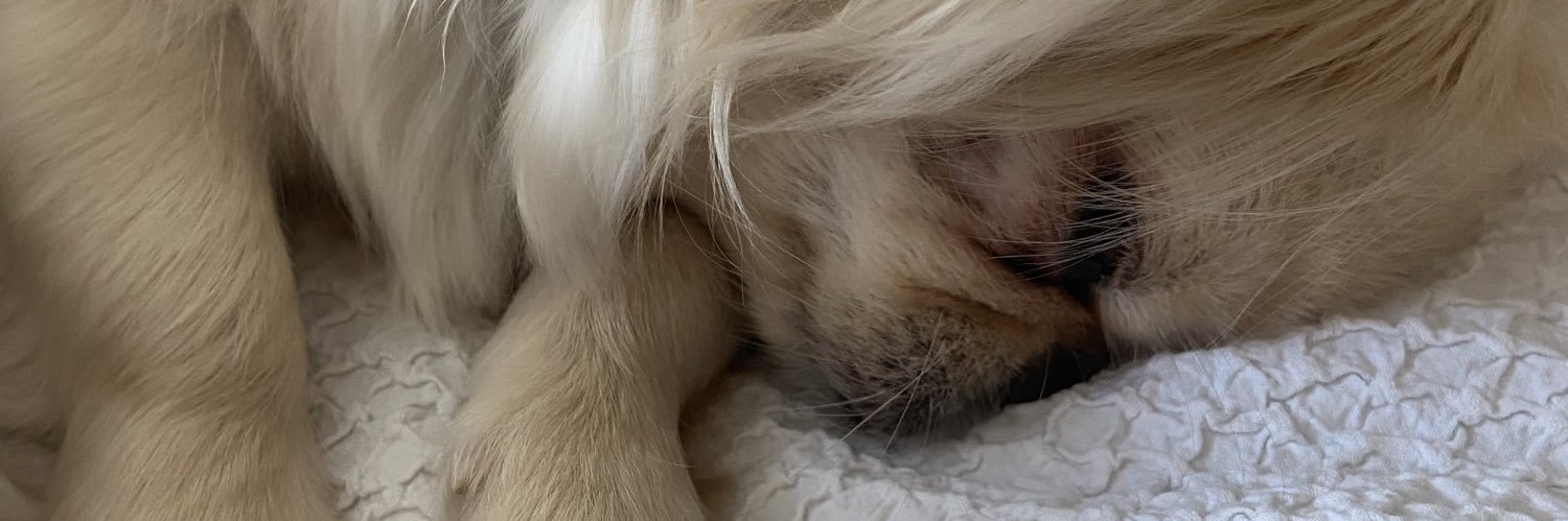 8krisi8's profile banner image