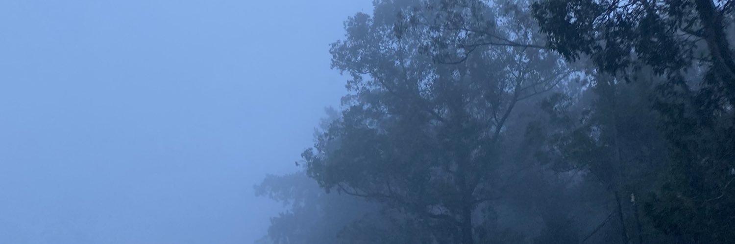 I L U H 🌻✨ banner