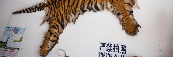 alexhofford Profile Banner