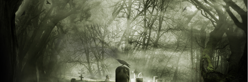 Teinez I el Guapo banner