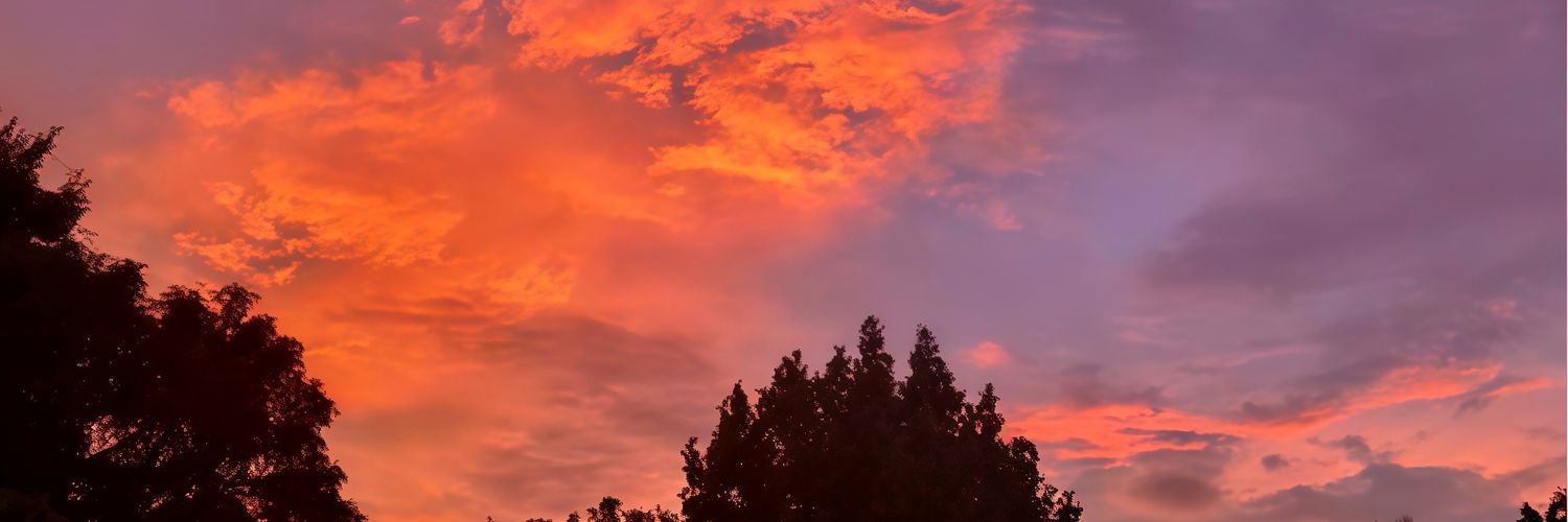 _irissenne's profile banner image