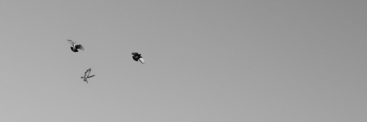 yo99ef's profile banner image