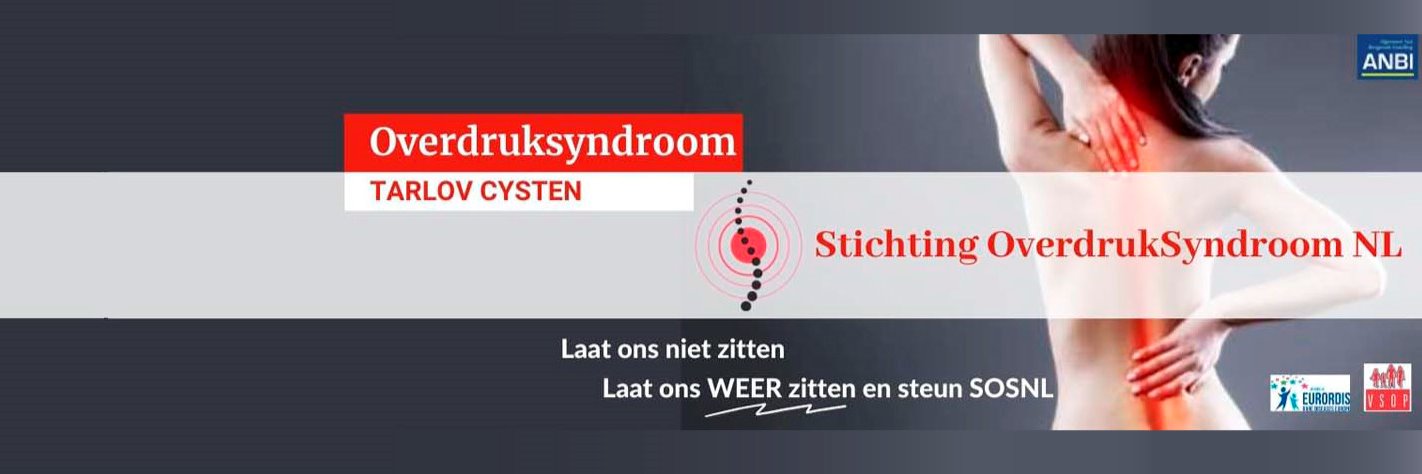 janny van der veer banner